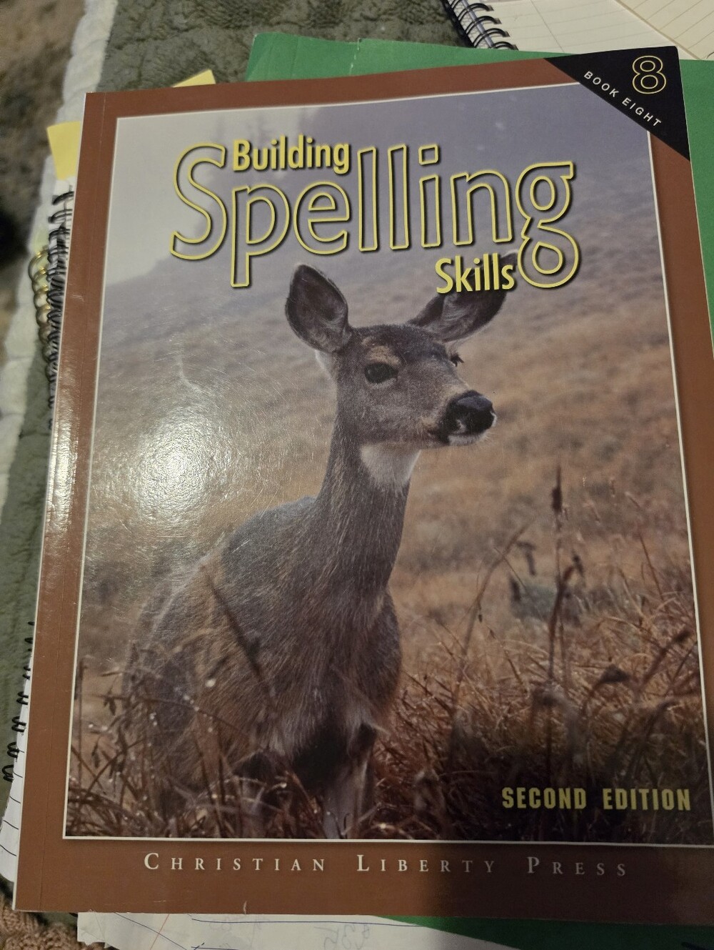 Building Spelling Skills Bundle Pack (Book 8) + Answer Key